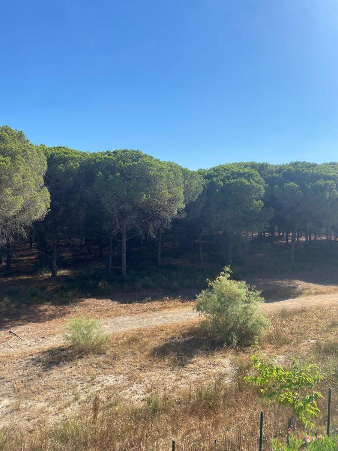 Studio Cabine Mer Et Pinede 26M2: 4Pers, Neuf, Cosy La Grande-Motte Exterior foto